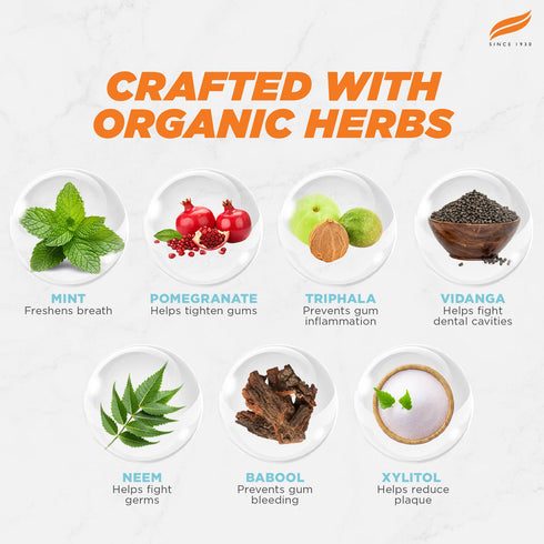 Himalaya Botanique Whitening+ Hydroxyapatite Toothpaste